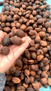 500g Thảo Quả Khô To Gia Vị Phở Mai Quế Lộ Lạp Xưởng Ngâm Gà Ủ Muối Bánh Kẹo Dược Liệu Loại Mới Nhất