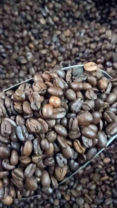 KOPI GAYO ROBUSTA PREMIUM KWALITAS NO.1/GAYO BROWN BEAN 500 GRAM