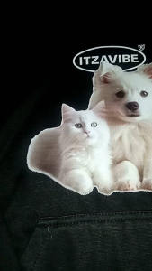 Sweater Jaket Hoodie KPOP NCT Jaemin Cat&Dog NCT Dream