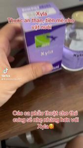 XYLA holland (50ml) dung dịch tiêm an thần-tiền mê cho vật nuôi