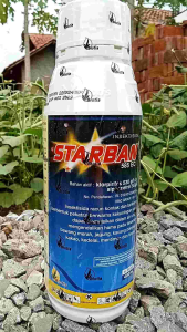Insektisida STARBAN 585 EC Pembasmi Hama Penyakit pada tanaman