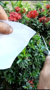 pisau serut mini multifungsi