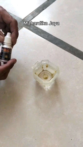 Obat Burung Sakit Pilek Mencret Saraf Nyilet Tetelo Lesu Tidak Mau Makan Super Ampuh Noill Noil