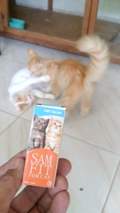 Obat Diare Kucing Muntah Lemas Tidak Mau Makan Mencret Flu Kitten Dewasa Ampuh Samfit untuk Kucing