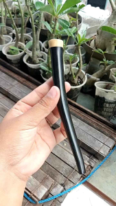 once pipa kayu kelor hitam model S A653