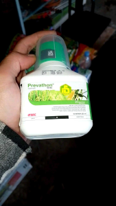 Prevathon 50 SC 250 ml Insektisida Mengendalikan Hama Pada Tanaman
