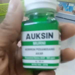 Hormon pertumbukan akar daun buah Giberelin Auksin Sitokinin 60 ml ori