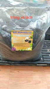5Kg Đất Trồng Chuyên Rau Củ Qủa Hoa Trộn Sẵn Đất Đỏ Tro Compoat Phân Dê.. Trồng Ngay