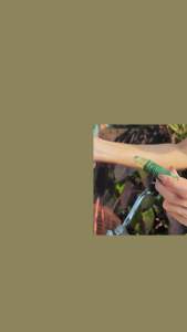 [สินค้าขายดี]หมักนาน3 ด. สมุนไพร13ชนิด🍃🇹🇭 ผื่นคันลมพิษ หน้ามืด