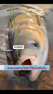 15 ตัว ราคาถูกสุด ร้านค้าคนไทย เสริมสวยแบบ 8 ขนาด ลูกหมุนตกปลา ตะข้อเบ็ด 59 บาท สะดวกสบาย รูปลักษณ์สำหรับภาชน้ำ