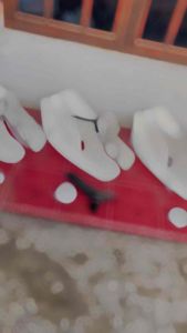 Dek sayap astrea prima