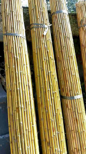 BAMBU CENDANI D 2 CM & STIK RAYUNG BAMBU CENDANI T2MTR