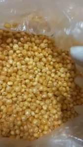 Ngô nếp non tươi sấy giòn 500g Ngô Nếp Sấy Giòn Không Chất Bảo Quản Snack Ngô Nếp Sấy Giòn Cho Trẻ Em - Lazada