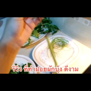 ที่ฝอยผักบุ้งจากเวียดนาม