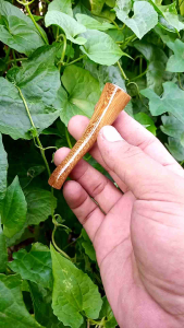 Pipa Cangklong Kayu Gali Kelor Serat Emas Mini