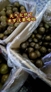 Luo Han Guo 桂林罗汉果  L｜M｜S (Broken/Not Broken)