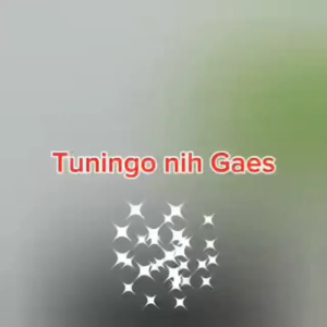 TUGINGO 100% ASLI OBAT BATU GINJAL &BATU URIN SINDROM NEFROTIK