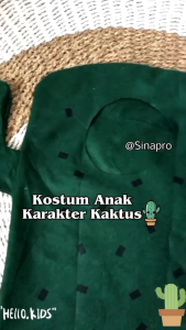 Kostum Karnaval Kaktus & Kostum Anak