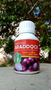 BRADDOCK - SOLUSI TEPAT UNTUK HAMA ULAT GRAYAK PADA TANAMAN