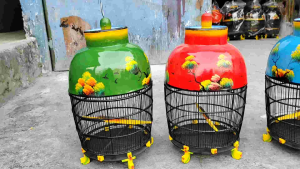 SANGKAR BURUNG MURAH BERKUALITAS KANDANG PERKUTUT MOTIF LUKIS TANGAN TERBAIK - CIANJUR