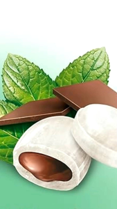 Storck Mint Chocs Peppermint Candies With Chocolate Cream Filling 200g Gingerbread Stuffed Chocolate Starlight Mints - Lazada