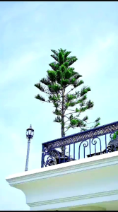 DRESS GAMIS MODE NAYSA SET HIJAB TERBARU BY NINOS