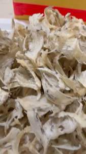 10gram CHÂN TỔ YẾN THÔ TRẮNG SẠCH ÍT LÔNG NHÀ NUÔI TỰ NHIÊN 100% nguyên chất tặng kèm nhíp và gia vị chưng cất