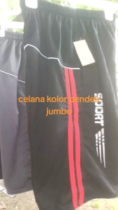 Celana Sport & Santai Pria: Celana Pendek Jumbo Cowok Dewasa
