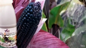Purple Corn Juice Mix Supplement FDA Approved