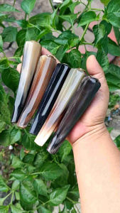 pipa tanduk kerbau super ukir belimbing