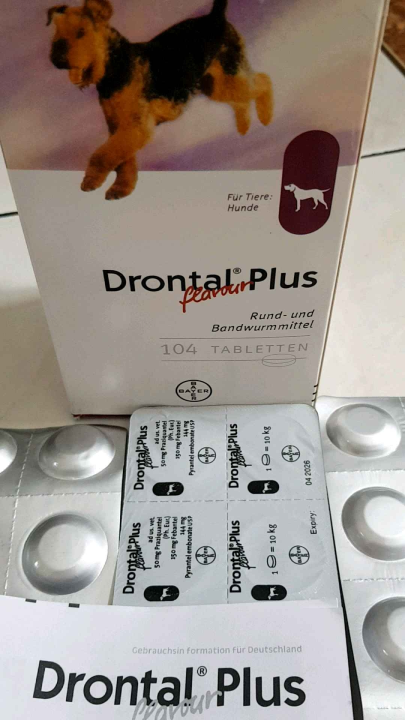 TERMURAH Obat Cacing Anjing Tablet Drontal Dog Plus Flavour| Harga per tablet