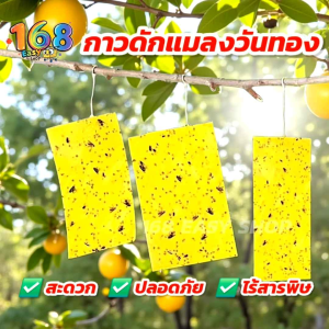 [พร้อมส่ง] กาวดักแมลงวันทอง แผ่นกาว ดักแมลง ไร้สารพิษ! กับดักแมลง กาวเหนียว2ด้าน