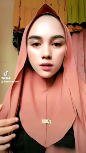 PHASMINA PLUS INER BAHAN JERSY PREMIUM MELEYOT TERVIRAL REAL PICT 100%