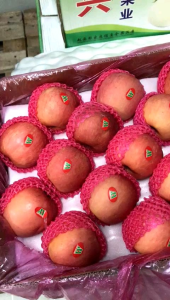Buah apel fuji fresh 1kg