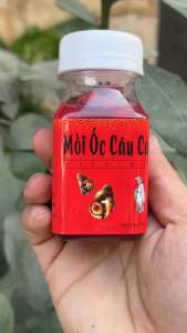 Mồi Ốc câu cá Trắm Chép Tráp