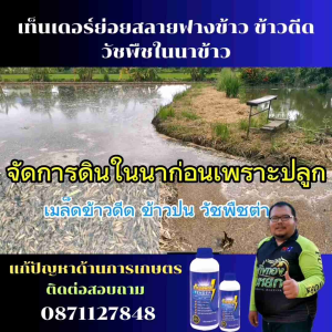 สารย่อยสลายฟางข้าวดีดข้าวเด้งวัชพืชในนาข้าว