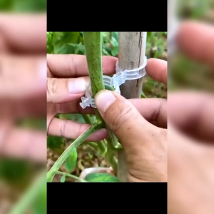 4 PCS KLIP PLASTIK PENGIKAT/PENJEPIT HOLDER TANAMAN/TANAMAN MERAMBAT