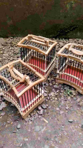 Sangkar Untulan Burung Kecil Kayu Jati Model Atas Lengkung Gratis Karpet Alas