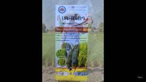 เคสโตร1ลิตร ชื่อสามัญสารไพราโคสโตบินเกรดคุณภาพสูง