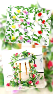 Mawar Rambat 24 Meter AF14: Dekorasi Interior Cantik