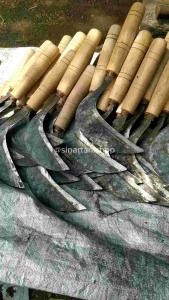 Arit Alat Pemotong Padi Rumput Bahan Berkualitas Baja Tajam Kuat