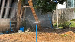 1/2-3/4 ดำน้ำหยดมินสปริнгเกอร์แดงกลม พากยุก 10/50/100 ตัว น้ำ 360 ลิตร/ชม Kamon Hardware LZD