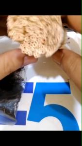 DAUN AREN PUCUK KAWUNG KERING 100 BATANG KELOBOT