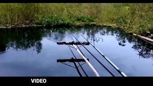 Essen Badot Nila mumpung Promo khusus Ikan nila Mancing di Waduk Sungai atau Kolam