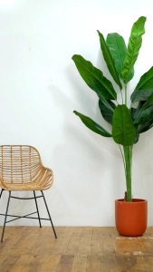 Jas Hujan Motor Dewasa Akula Bahan Karet PVC Tebal Elastis Best Produk