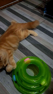 Cat Tower Ball Mainan Kucing Bola Tingkat 3 Mainan Interaktif Kucing Cat Kitten