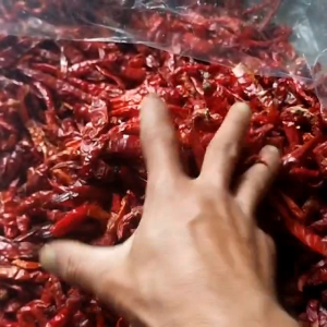 1 kg Cabe rawit Teja kering (PREMIUM) impor India kualitas super bagus dan pedas