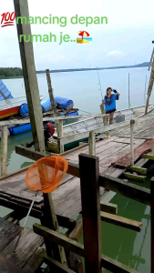 Apollo WHITE SKIN FISH saiz: 7-9 (pancingan utk cari umpan tamban hidup atau selarcaru)