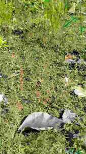 JARING KUTILANG JARING CANGKURILANG JARING GENTILANG JARING 2 INCI JARING 2 IN JARING 2 INCHI JARING BURUNG KUTILANG JALA PIKAT KUTILANG JALA PUKAT KUTILANG JARING JALA TILANG JALA JEBAK BURUNG KUTILANG JALA JEBAK JARING BURUNG HITAM JARING
