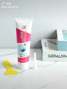 Wall Repair Plaster 墙面修补膏 (1套2支)